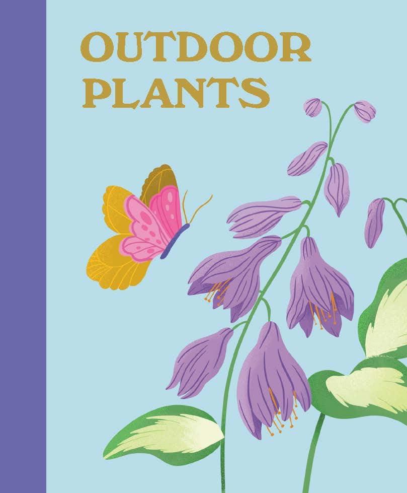 Plant Lover's Box Set - (Rp Minis) by  Jessie Oleson Moore (Hardcover)