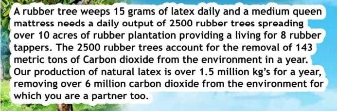 Full Size Natural Latex Mattress Topper - Soft, Medium, Firm Options