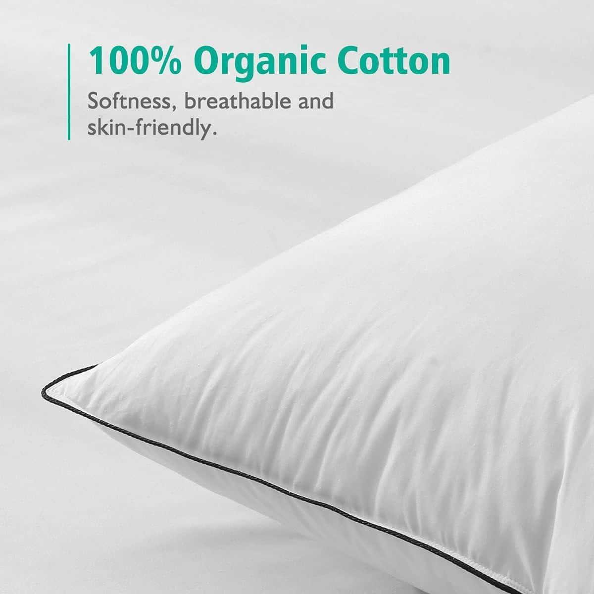 Standard White Cotton Feather Down Pillows Set of 2