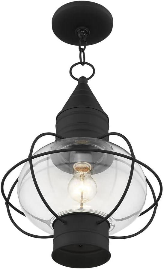 Aster Outdoor Hanging Lantern