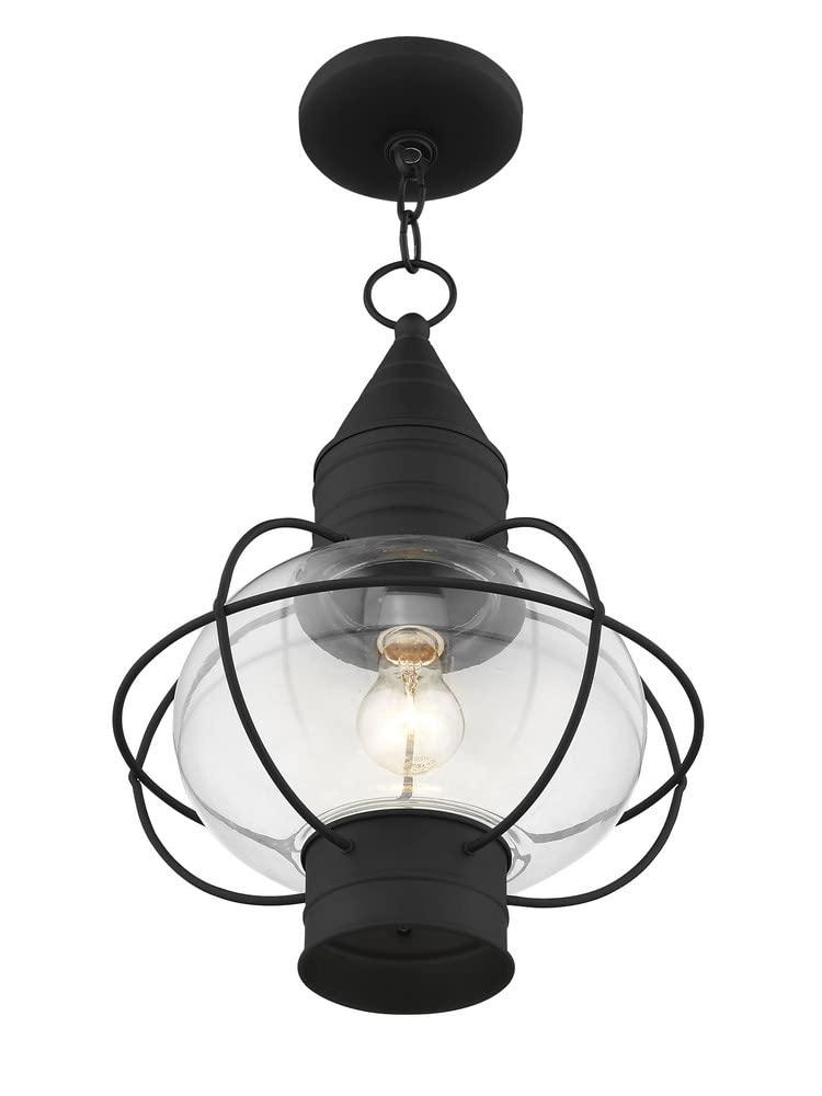 Aster Outdoor Hanging Lantern