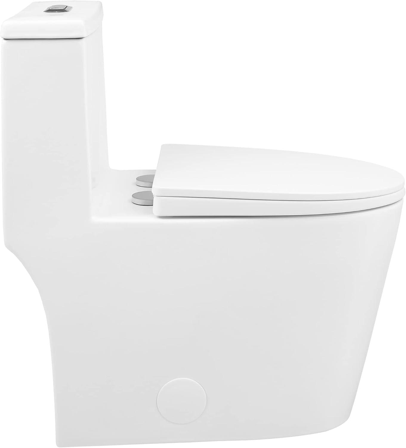 Antibes One Piece Elongated Dual Flush Toilet with 0.95/1.26 GPF