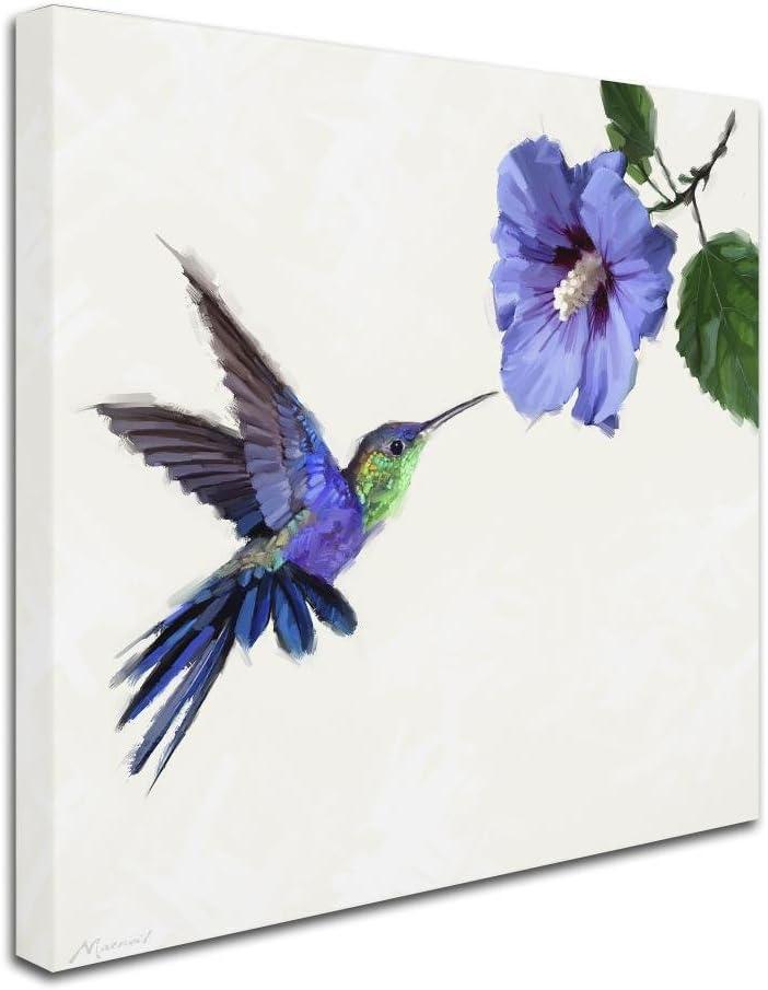 Trademark Fine Art The Macneil Studio " Humming Bird " by The Macneil Studio