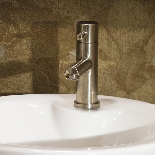 American Standard 2064101.002 Serin Single-Hole Single-handle Bathroom Faucet with Drain Assembly