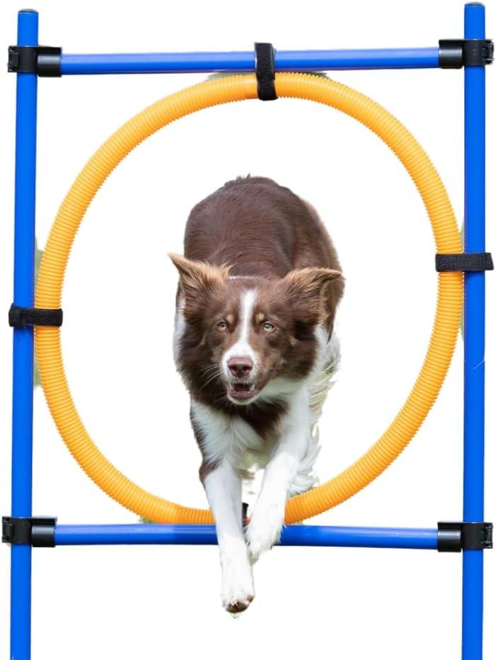 TRIXIE Dog Agility Ring, Portable Dog Hoop, Obstacle Course Equipment, Obedience Training