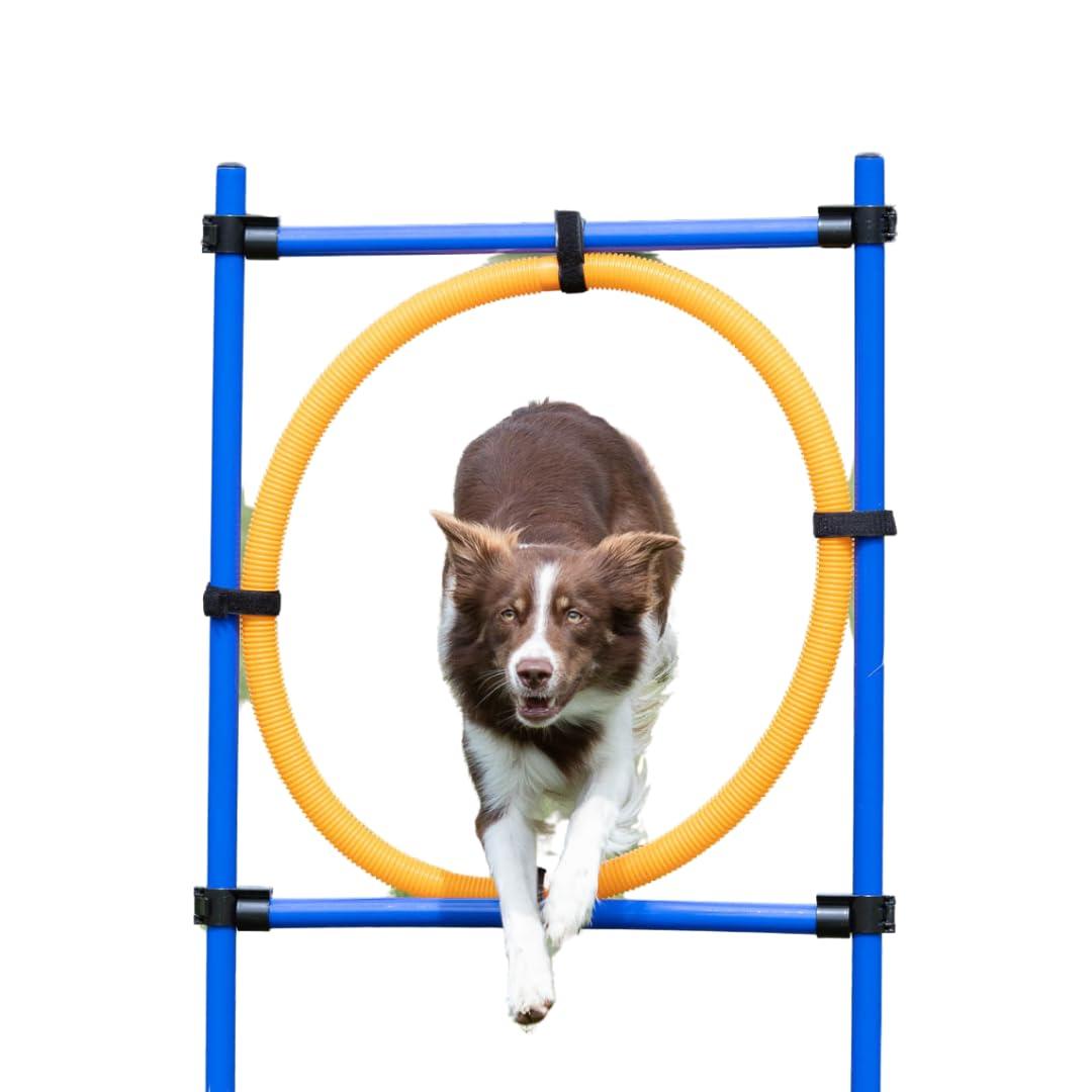 TRIXIE Dog Agility Ring, Portable Dog Hoop, Obstacle Course Equipment