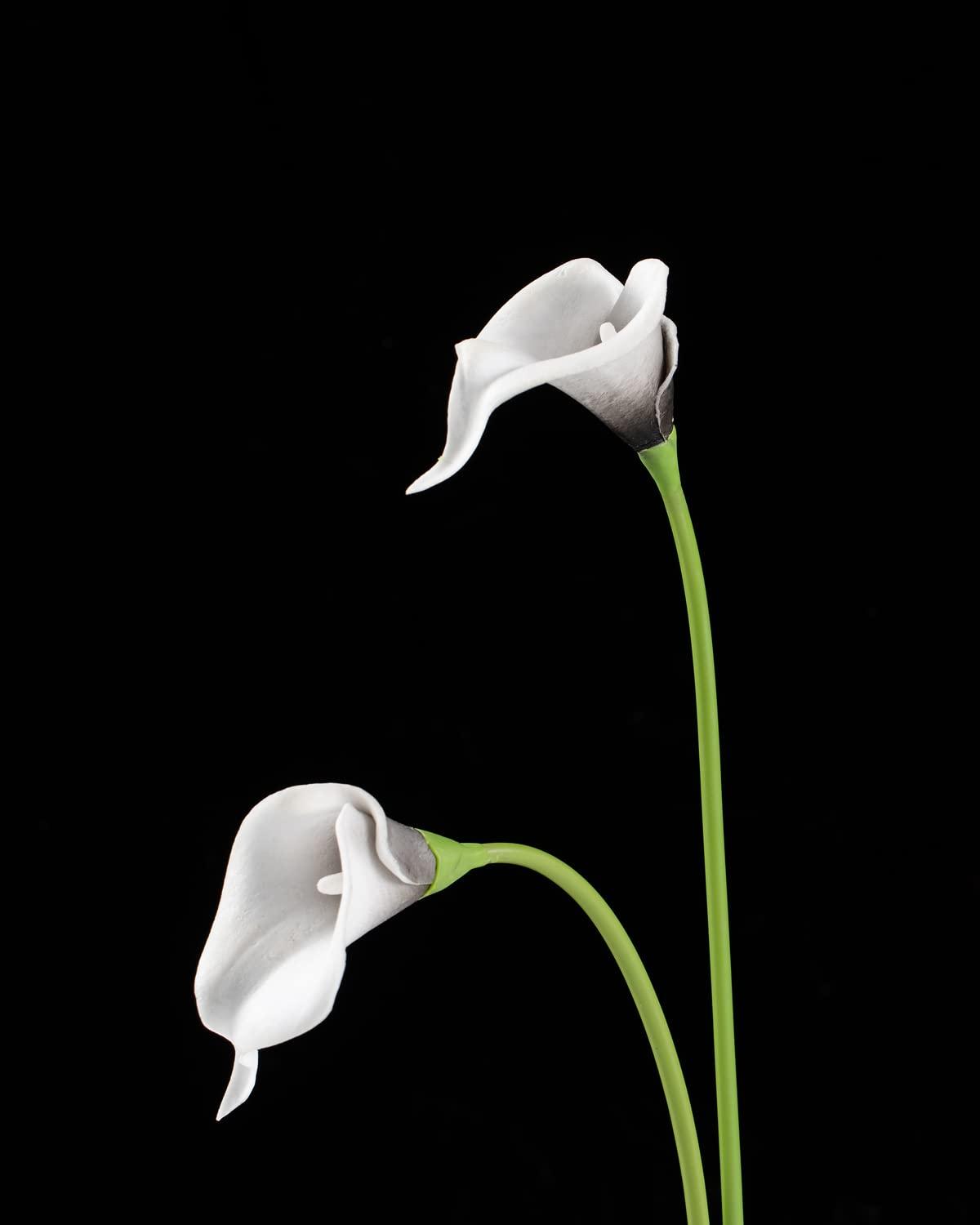 20Pcs Artificial Calla Lily Flower Real Touch Latex Flowers for DIY Wedding Bouquet Party Home Decor (Pure White) A