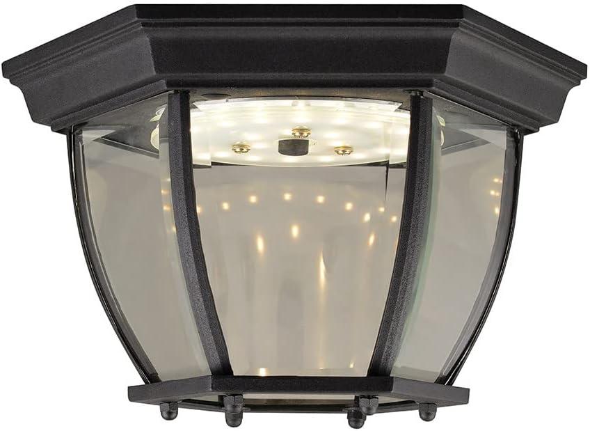 Black Glass LED Indoor/Outdoor Ceiling Light