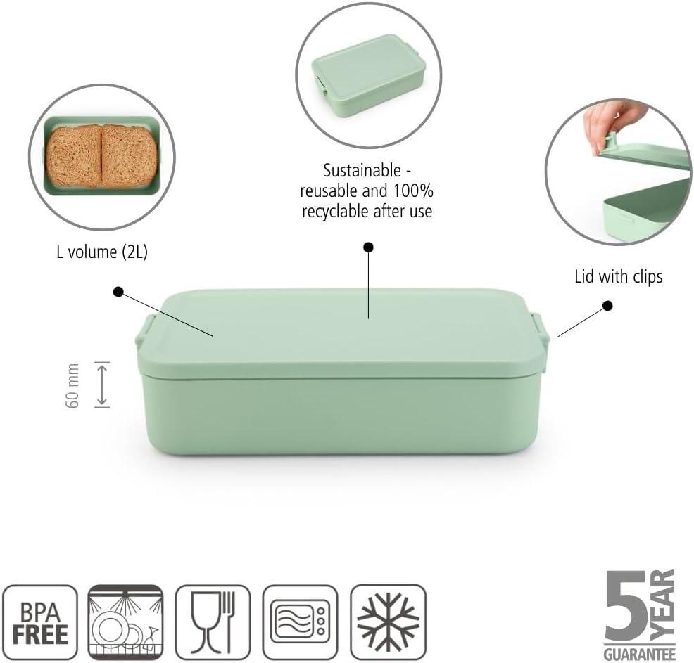 Jade Green Large BPA-Free Airtight Lunch Box