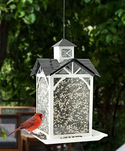 Woodlink Modern Farmhouse Metal & Glass Stable Bird Feeder - White