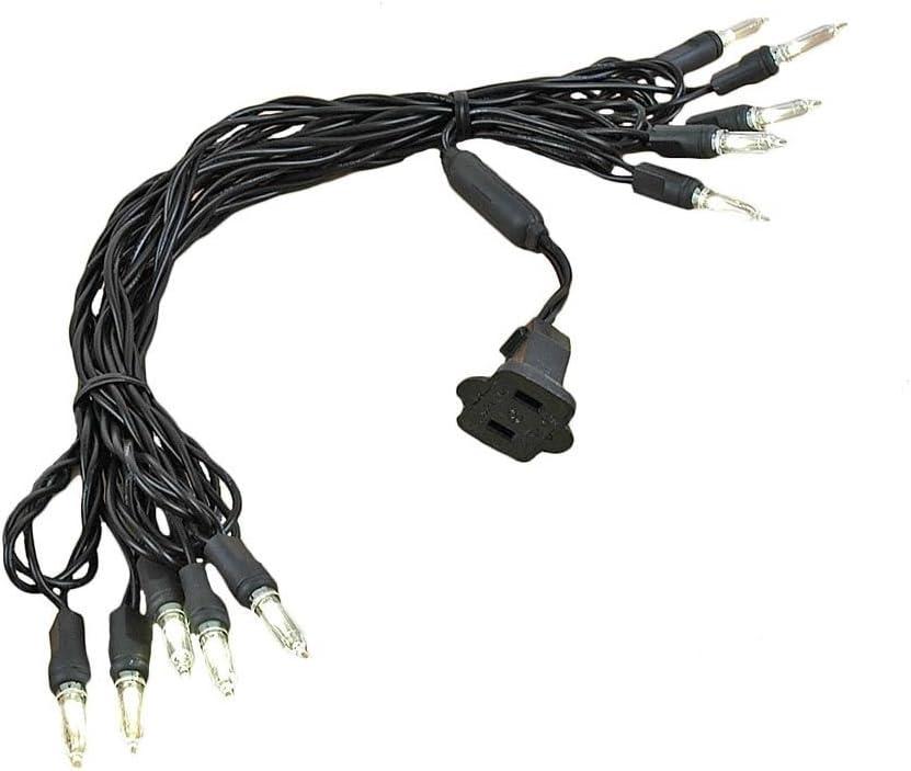 Novelty Lights 10 Light T5 LED Christmas Mini Light Set, Outdoor Lighting Party Patio String Lights, Warm White, Black Wire, 11 Feet