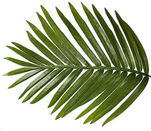 LirtedAura Gorgeous & Unique 5 Feet Tropical Palm Artificial Plant Silk Tree, Real Touch Technology, with UV Protection, Super Quality, 5', Green