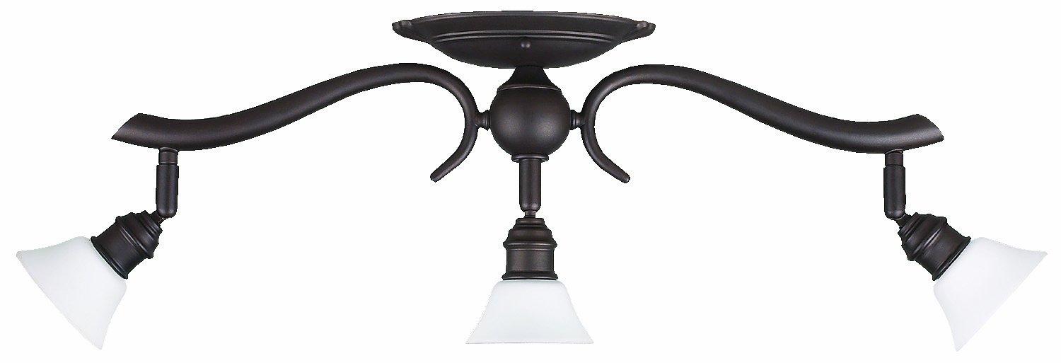 Addison 23.5'' Oil Rubbed Bronze Track Lighting with White Opal Glass