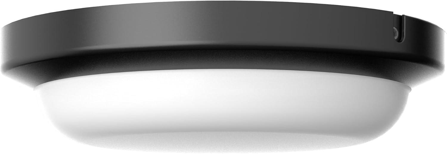 AFX Dean 1 - Light Flush Mount in  Black