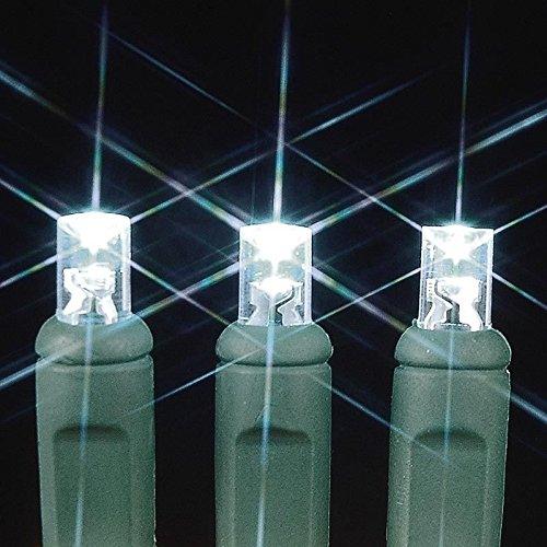 Novelty Lights 20 Light LED Battery Christmas Mini Light Set, Green Wire, 8' Long White