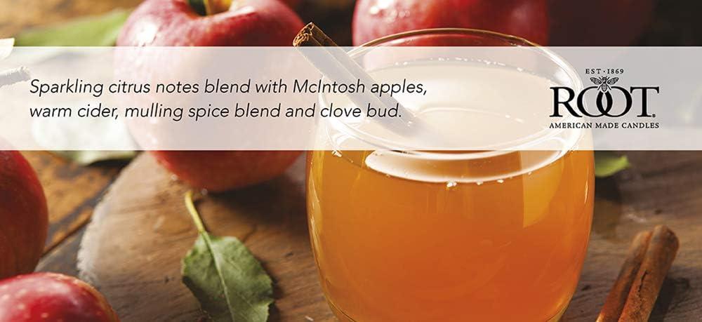 Root Candles Mulled Cider Scented Jar Candle