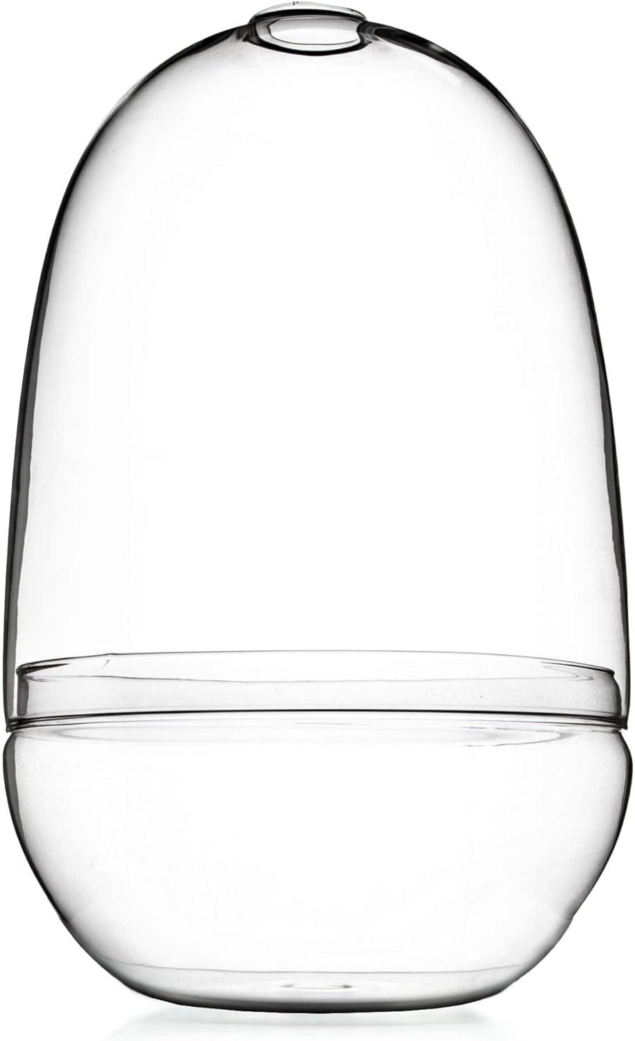 Bloomingville Large Egg Shaped Glass Terrarium, Clear