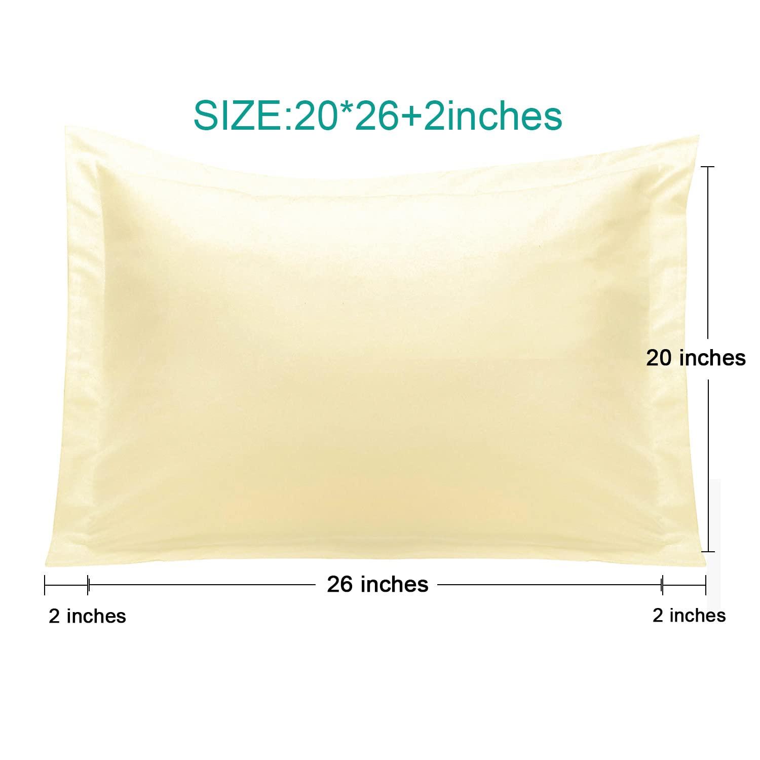 BEFIHO Bed Pillow Shams, 1800 Brushed Microfiber Oxford Pillowcases - NTBAY (Set of 2)