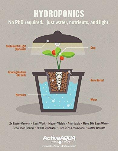 Hydrofarm Active Aqua AAPW400 24-Watt 400 GPH Submersible Indoor/Outdoor Hydroponic Aquarium Pond Water Pump with 6ft Power Cord for 40 Gal Reservoirs