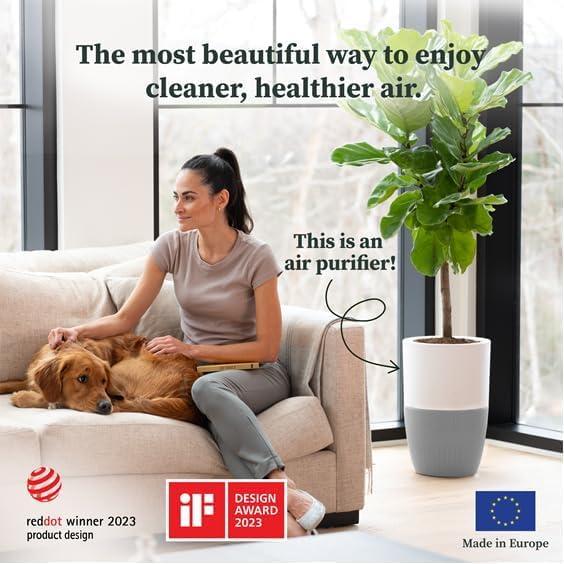 Dupray Bloom™ Air Purifier | Smart Medical-Grade HEPA-13 Air Filtration With Integrated Planter