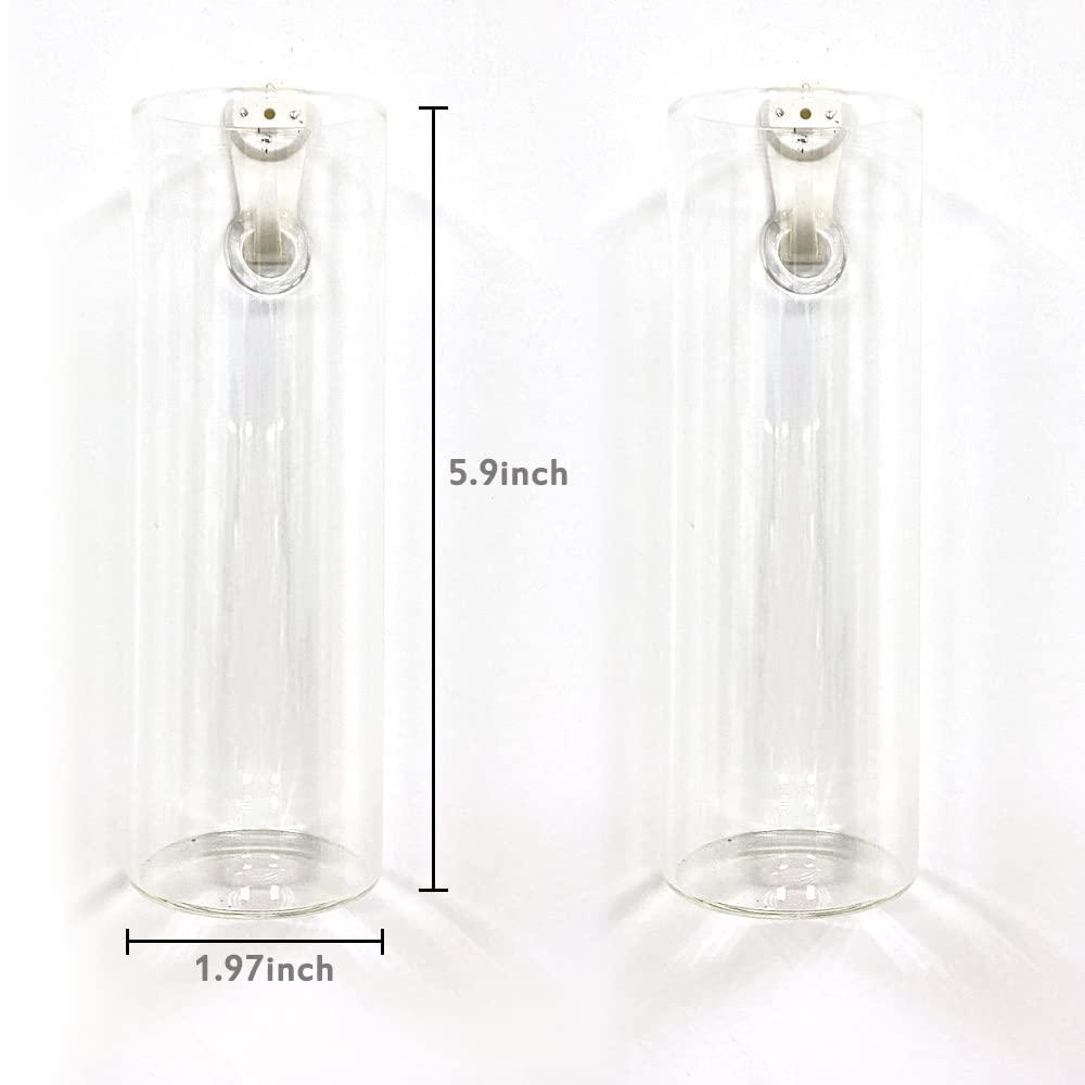 Bunhut Wall Hanging Glass Plant Terrarium (2 Count)