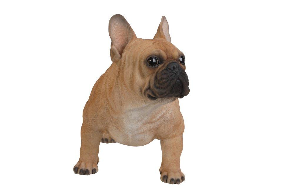 Hi-Line Gift Ltd. Dog French Bulldog Statue & Reviews | Wayfair