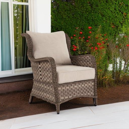 Clear Ridge Lounge Chair with Cushion (Set of 2)