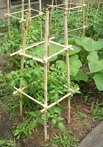 6' Natural Bamboo Garden Support Stakes, Pack of 25