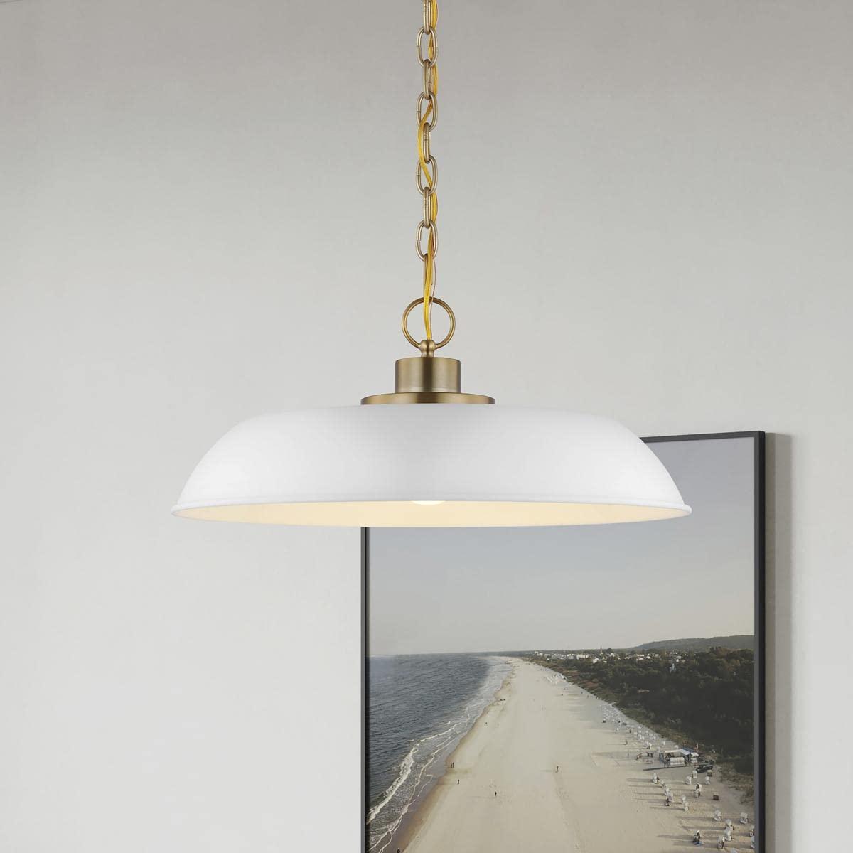 Nuvo Lighting 60/7483 Colgante Colonia de 20" de Ancho - Blanco Mate / Latón Bruñido
