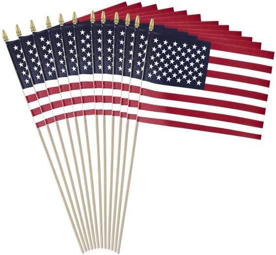 Patriotic Red and Blue Cotton American Stick Flags Set