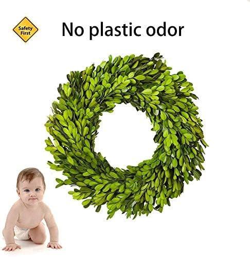 Alby Preserved Boxwood Real Greenery Wreath