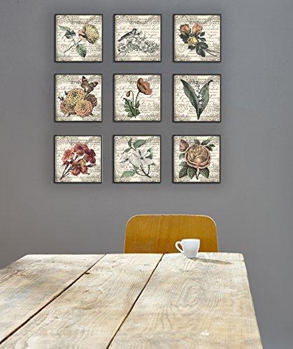 French Botanical Elegance 9-Piece Frameless Canvas Art Set