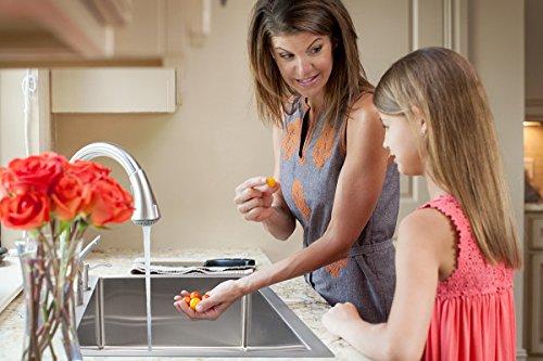 Vector 34" L x 23" W Double Basin Dual Mount Kitchen Sink