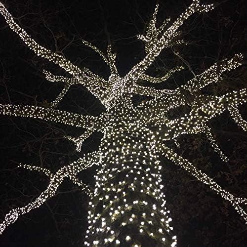 Novelty Lights 50 Light Pure White LED Christmas Mini Light Set (Black Wire, 11 Feet)