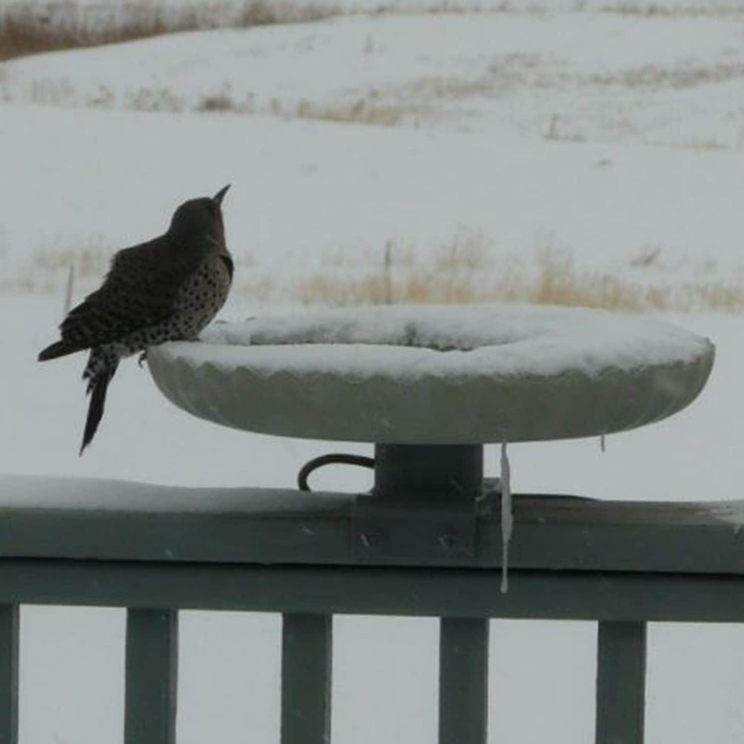 Farm Innovators 120W Outdoor Stone Scalloped Heated Birdbath w/ Deck Mount