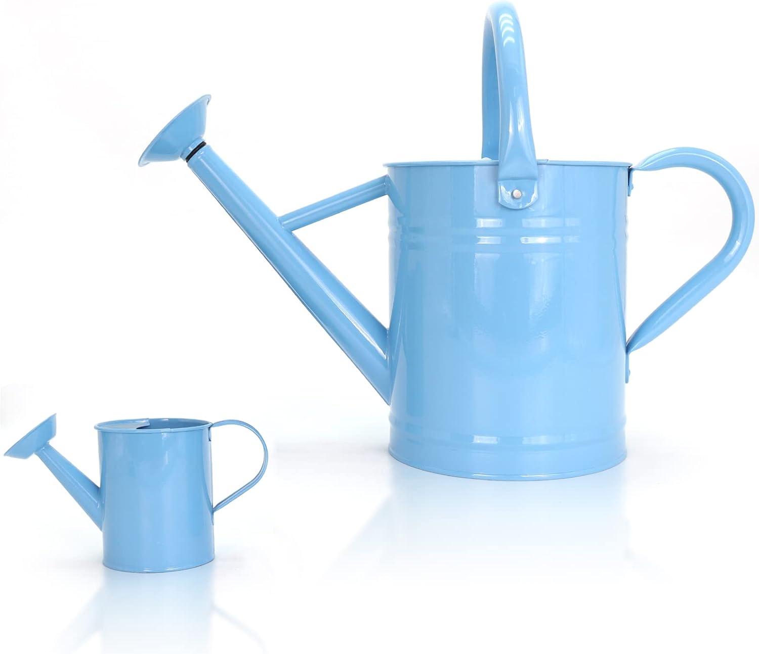 Light Blue Galvanized Metal Watering Can with Removable Spout