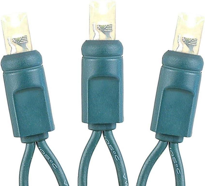 Novelty Lights Warm White LED Christmas String Lights 50 Mini Bulbs (Green Wire, 17 Feet)