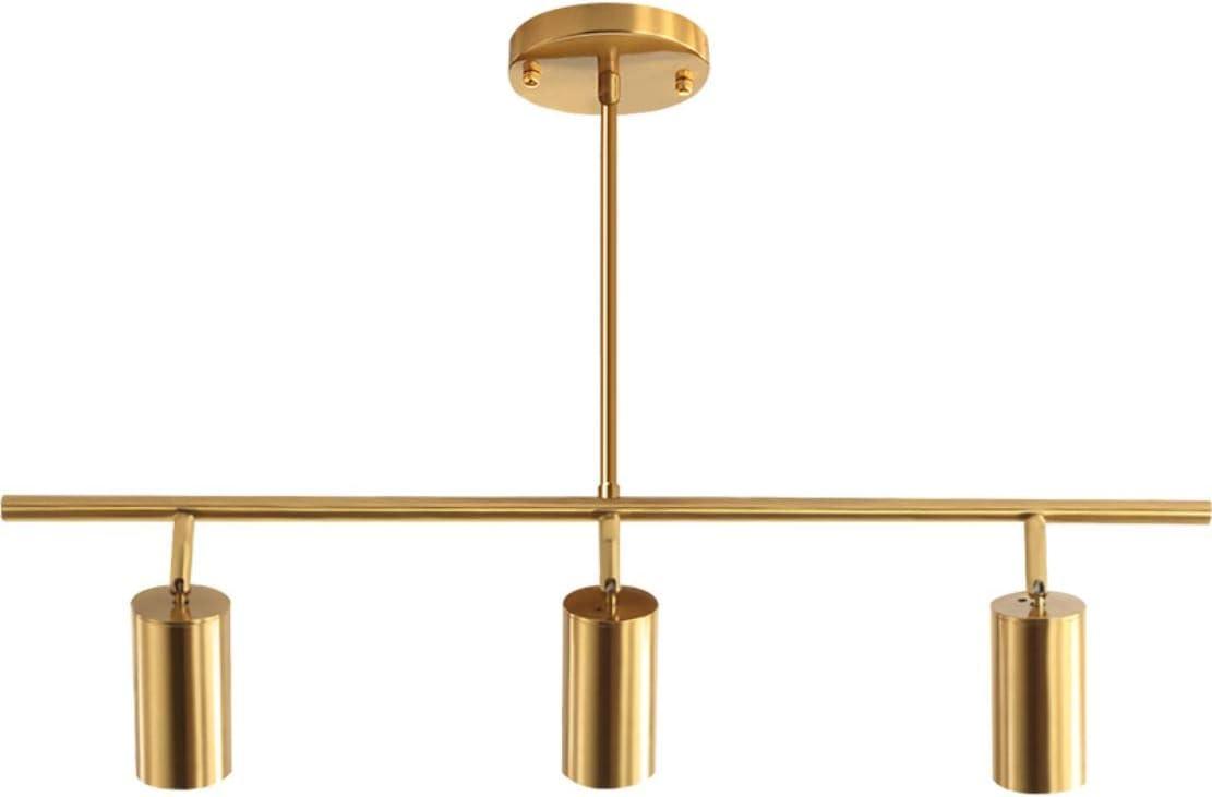 Adjustable 3-Light Brushed Brass LED Ceiling Spotlight