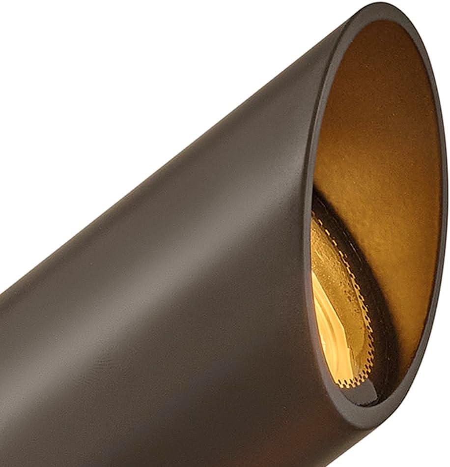 Bronze Low Voltage LED Outdoor Spot Light with Clear Lens
