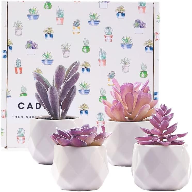 Mini Purple Plastic Succulent Set in White Pots