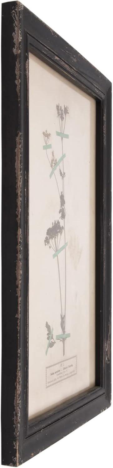 Distressed Black Wood Framed Botanical Wall Plaques Set of 16