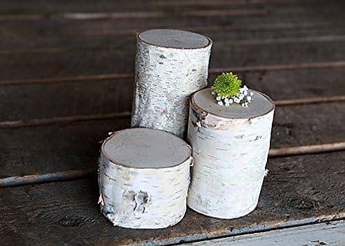 Wilson Country Rustic Decorative White Decorative Accent, Set of 3