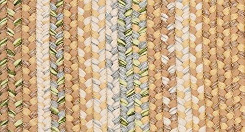 Braided BRD314 Hand Woven Area Rug - Tan/Multi - 3'x5' - Safavieh.
