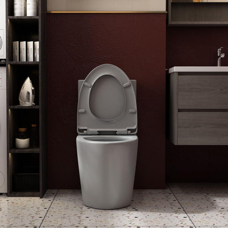 Albriya A1854 One Piece Toilet, Modern Elongated Toilet Power Dual Flush 1.1/1.6 GPF with Comfortable Chair Seat ADA Height 16 1/4’’ for Bathroom, 12’’ Rough-In, MaP 1000g, Grey