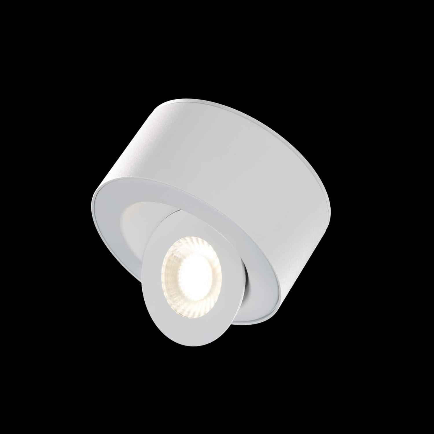 Peek LED Flush Mount