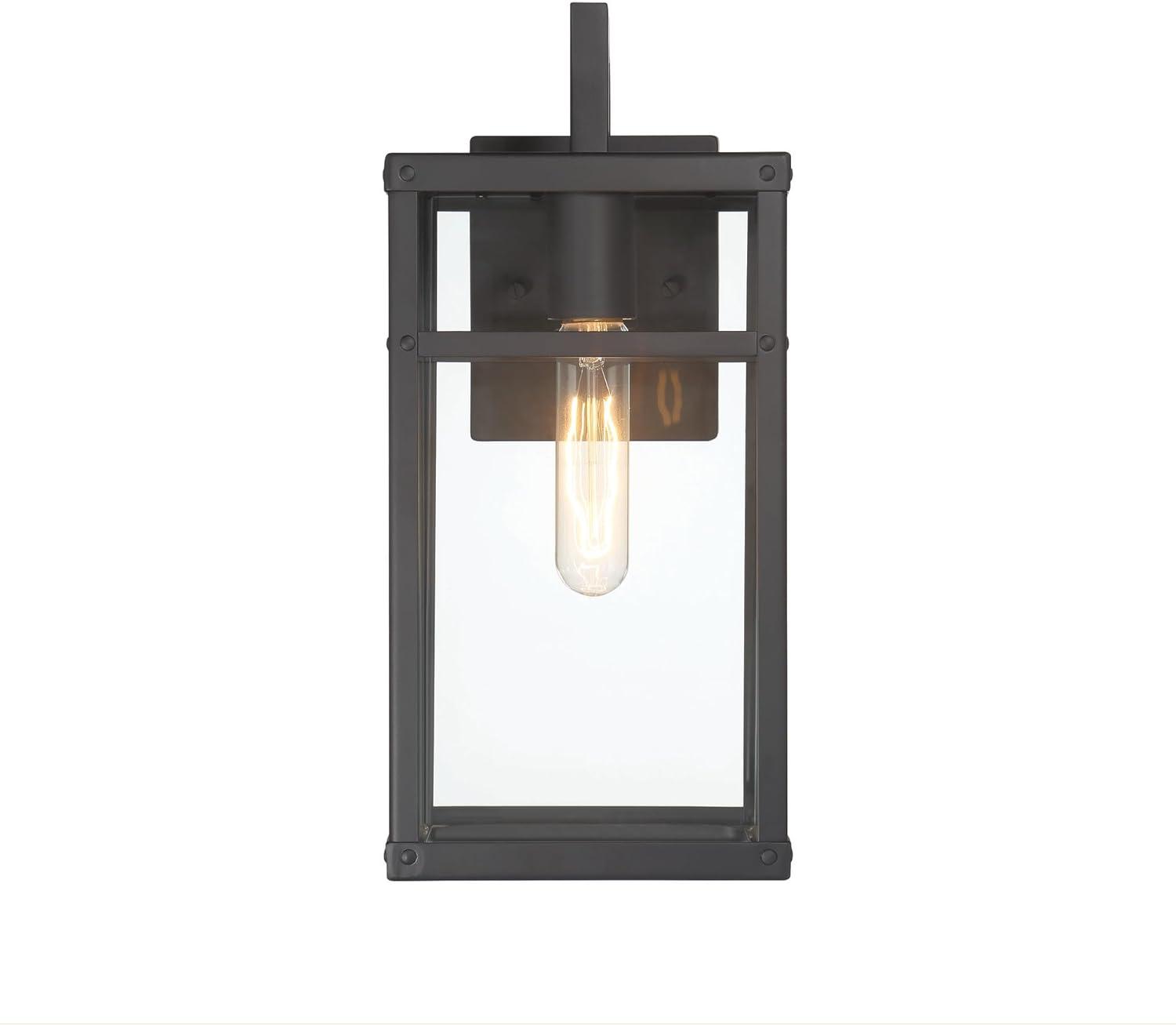 Robert Stevenson Lighting Blake Modern Metal and Clear Glass Paneled Wall Mounted Outdoor Light Black: ETL Listed, 1-Light Sconce, No Switch