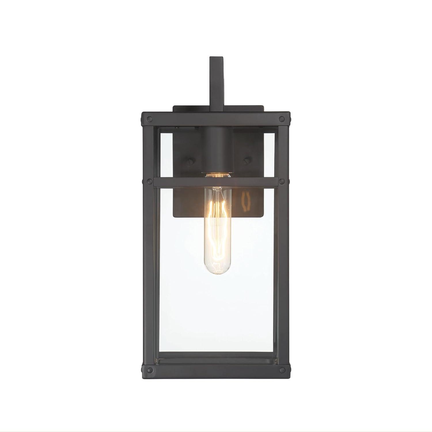 Robert Stevenson Lighting Blake Modern Metal and Clear Glass Paneled Wall Mounted Outdoor Light Black: ETL Listed, 1-Light Sconce, No Switch