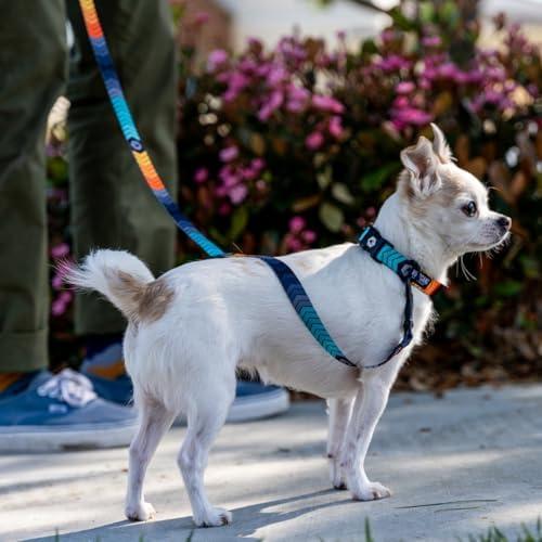 Wolfgang 8093076 18 in. Multi Color Chev Tech Polyester Dog Adjustable Collar, Medium