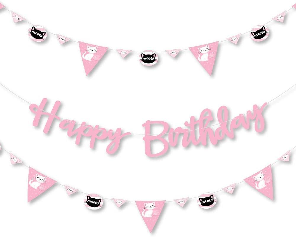 Pink Kitty Cat Birthday Party Banner with Pennant Shapes