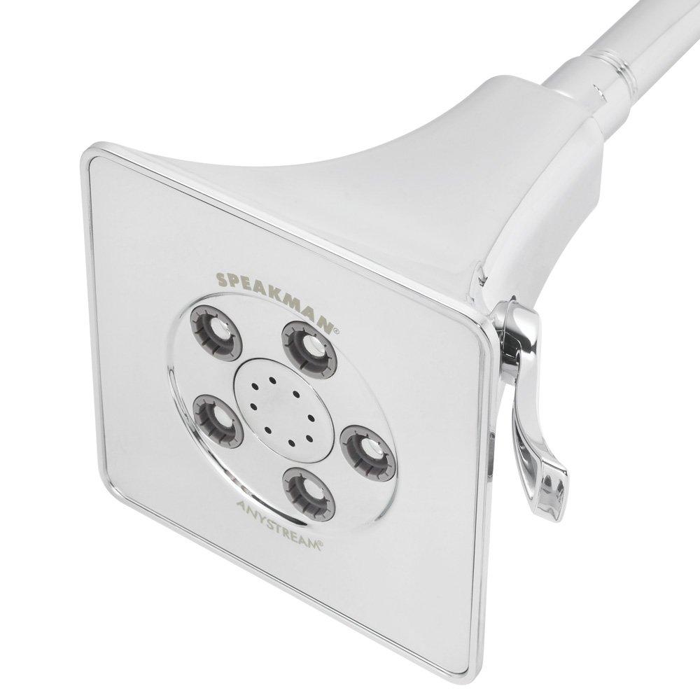 Rainier 2.0 GPM Adjustable Shower Head